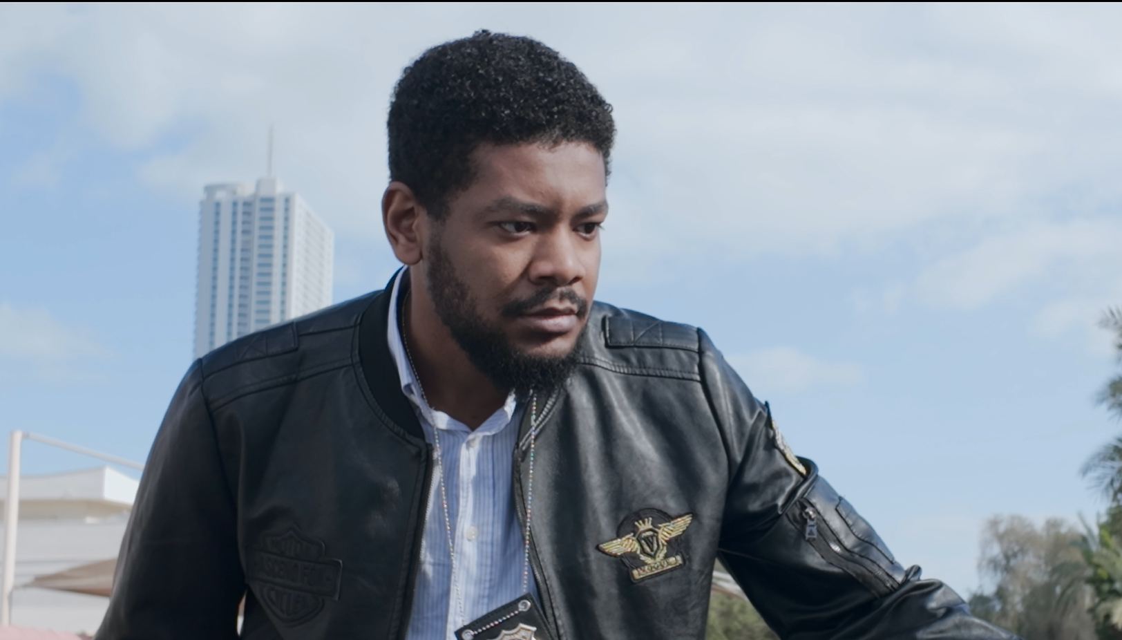 الفن الاصيل